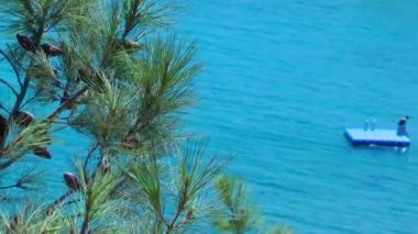 Seaside Holiday ve doğa kavramı