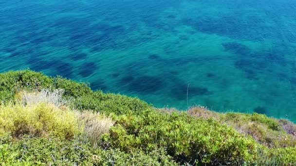 Mar un concepto de naturaleza de vacaciones — Vídeos de Stock