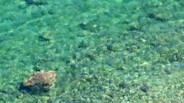 Férias à beira-mar e o conceito de natureza — Vídeo de Stock