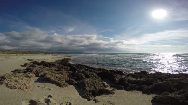 Semester vid havet och naturen koncept — Stockvideo