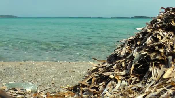 Seaside Holiday ve doğa kavramı — Stok video