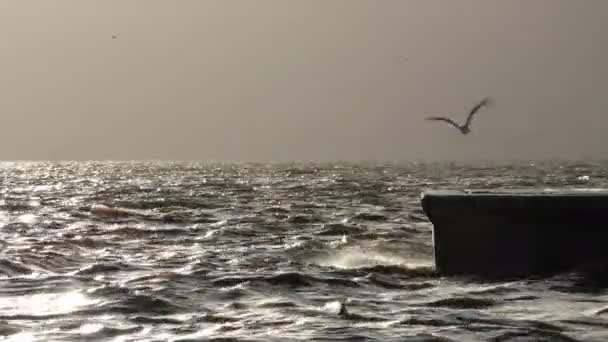 Vacances au bord de la mer et concept de nature — Video