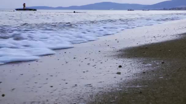 해변 휴가 및 자연 개념 — 비디오