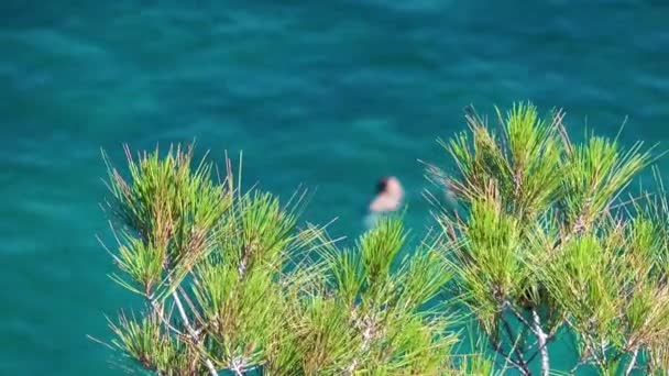 Semester vid havet och naturen koncept — Stockvideo