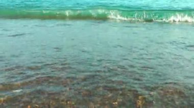 Seaside Holiday ve doğa kavramı