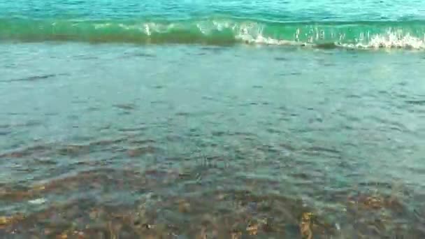 해변 휴가 및 자연 개념 — 비디오