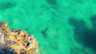 Seaside Holiday ve doğa kavramı