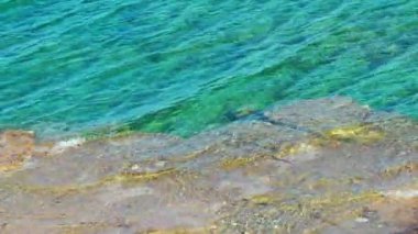 Seaside Holiday ve doğa kavramı