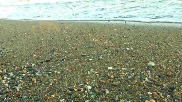 Vacances au bord de la mer et concept de nature — Video