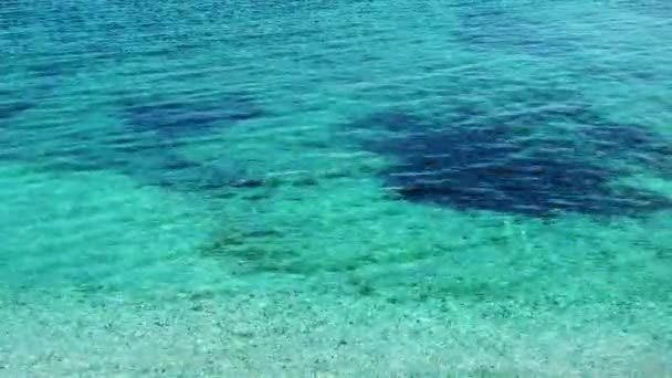 Férias à beira-mar e o conceito de natureza — Vídeo de Stock