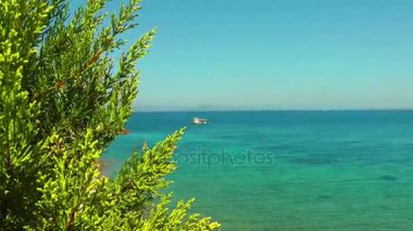 Seaside Holiday ve doğa kavramı