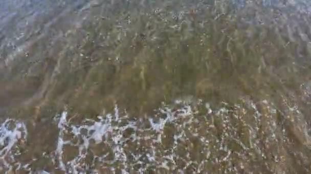 Férias à beira-mar e o conceito de natureza — Vídeo de Stock