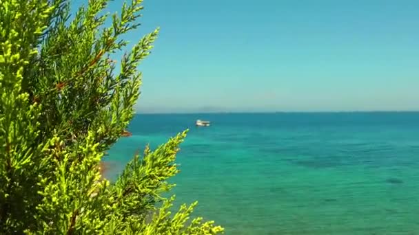 Férias à beira-mar e o conceito de natureza — Vídeo de Stock