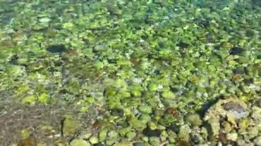 Seaside Holiday ve doğa kavramı