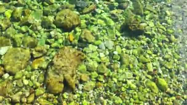 Férias à beira-mar e o conceito de natureza — Vídeo de Stock