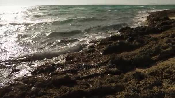 Stenar stenar i havet natur koncept — Stockvideo