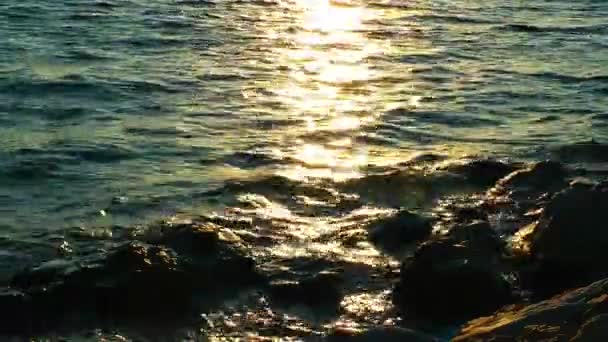 바위 돌 해변 자연 개념에 — 비디오