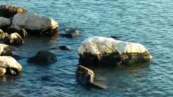 Kamienie skały w nadmorskiej przyrody koncepcji — Wideo stockowe