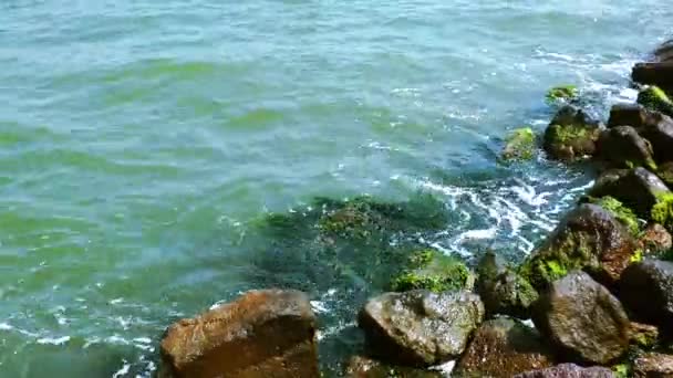 Rocas Piedras en la costa Concepto de la naturaleza — Vídeos de Stock