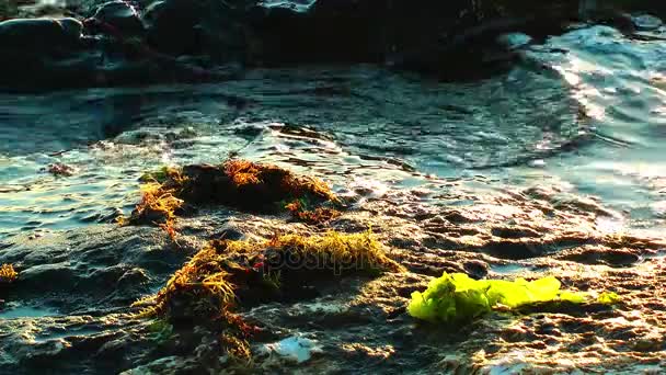 Pierres Pierres en bord de mer Nature Concept — Video