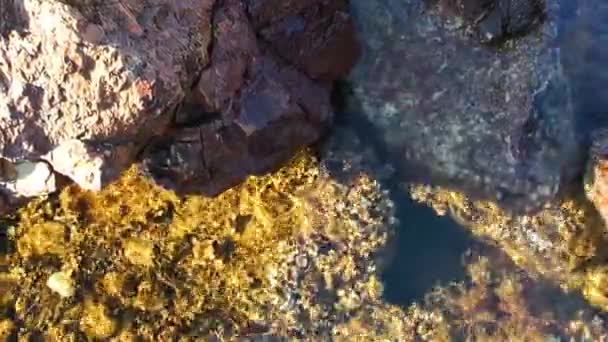 Rocas Piedras en la costa Concepto de la naturaleza — Vídeo de stock