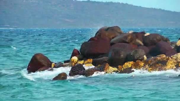 Rocas Piedras en la costa Concepto de la naturaleza — Vídeo de stock
