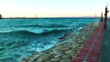 Deniz doğa kavramı içinde taş taş