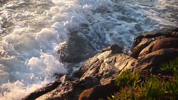 Stenar stenar i havet natur koncept — Stockvideo