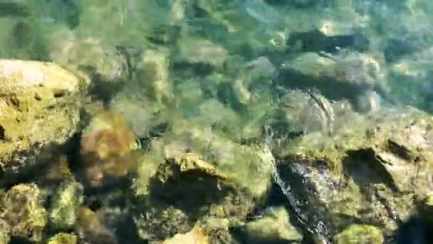 Rocas Piedras en la costa Concepto de la naturaleza — Vídeos de Stock
