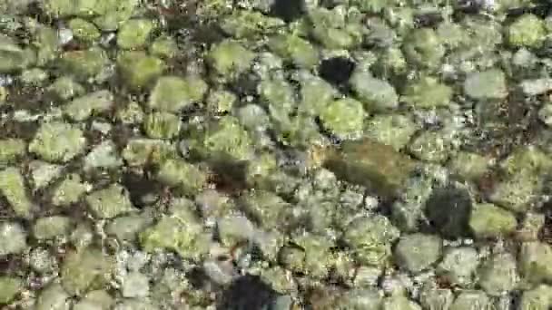 Камни в концепции морской природы — стоковое видео