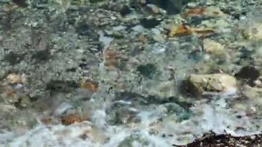 Deniz doğa kavramı içinde taş taş