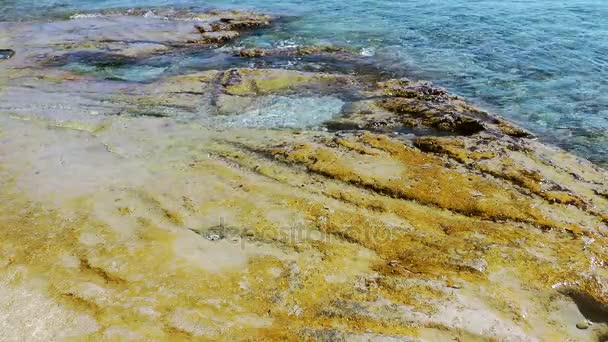 Камни в концепции морской природы — стоковое видео