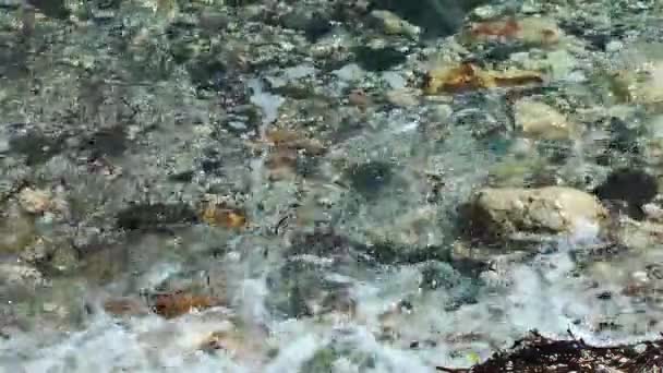 Rocas Piedras en la costa Concepto de la naturaleza — Vídeos de Stock