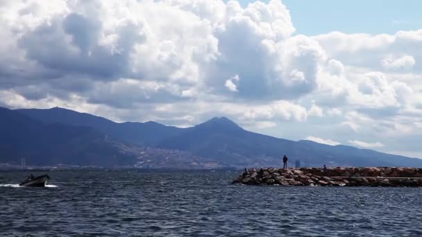 El muelle marino y el mar — Vídeos de Stock