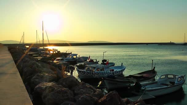 Морской пехотинец и море — стоковое видео