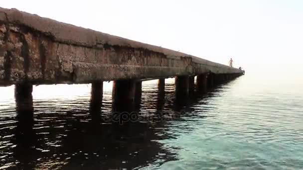 Den Dock Marina och havet — Stockvideo