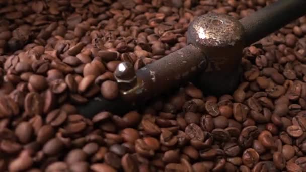 Gebrande koffiebonen warme drank — Stockvideo