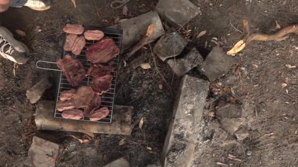 Viande sur le barbecue Feu de charbon — Video