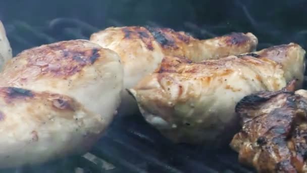 Churrasco de frango no fogo de carvão — Vídeo de Stock