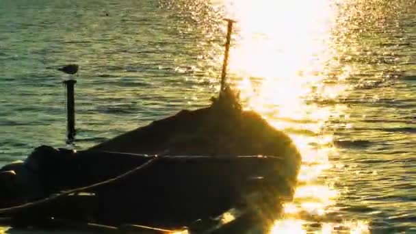 Рыбацкая лодка в морской воде — стоковое видео