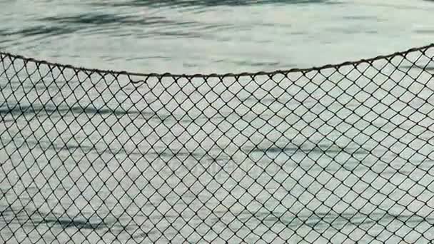Balıkçılık satır ayrıntı file çorap — Stok video