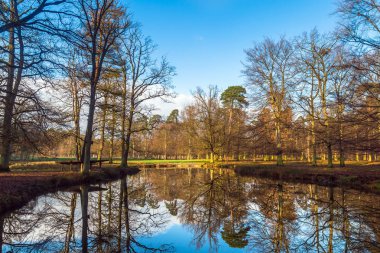 Göl ve ağaçlar güzel doğa manzara