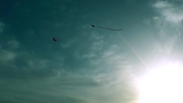 Gökyüzünde uçan bir uçurtma — Stok video