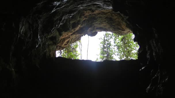 Cascada dentro de la Cueva Oscura — Vídeo de stock