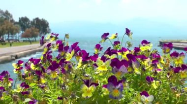 Doğa Ana güzel Flora çiçek