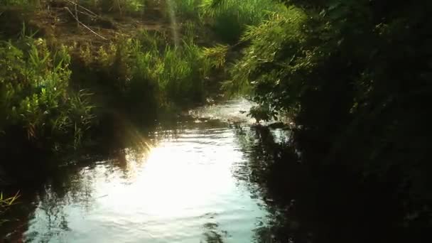 Güzel şelale Creek doğal kavramı — Stok video