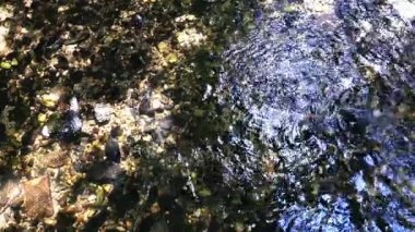 Güzel şelale Creek doğal kavramı