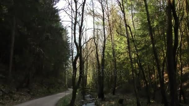 Magnifique concept naturel de Waterfall Creek — Video