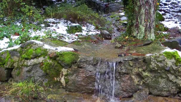 Koncepcja naturalne piękne Creek wodospad — Wideo stockowe