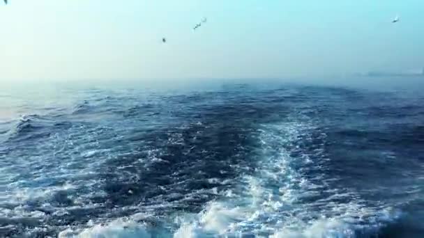 L'acqua del mare — Video Stock